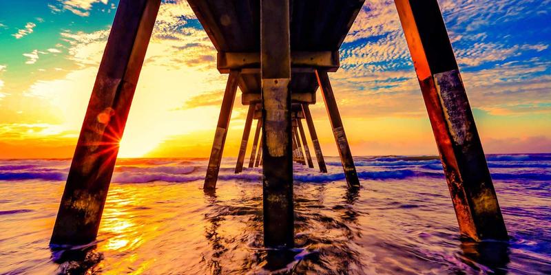 从猫粮狗粮选择看科学养宠：三个真实案例揭示的宠物养护核心知识