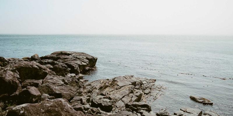 如何为宠物鸟打造安全丰容的飞行环境？从宠物健康到飞行空间的全方位指南