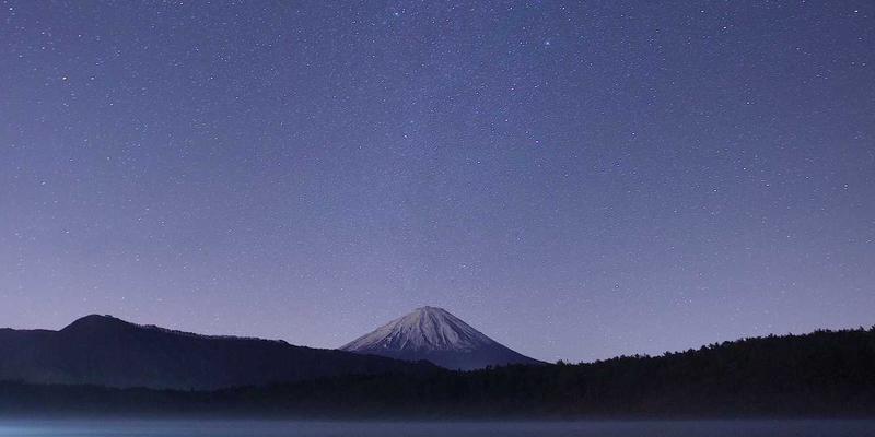 宠物主粮挑选终极指南：成分深度解读与热门品牌分析