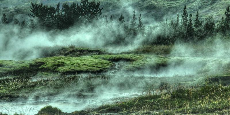 宠物保险怎么选？全面对比不同险种，为爱宠健康未雨绸缪 | 宠物知识指南