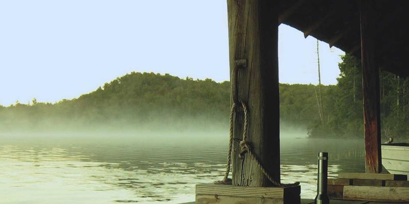 宠物养护51：科学饲养指南与健康管理全解析