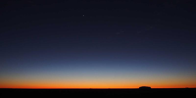 宠物养护77：科学饲养指南与必备宠物用品全解析