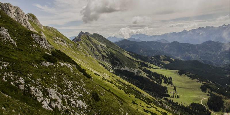 宠物养护88：从知识到玩具，打造爱宠健康快乐生活