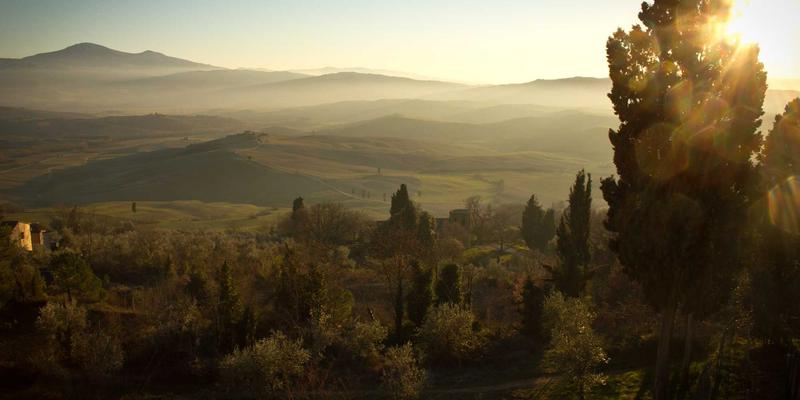 宠物养护全攻略：从科学喂养到玩具选择，一站式宠物商城解决方案
