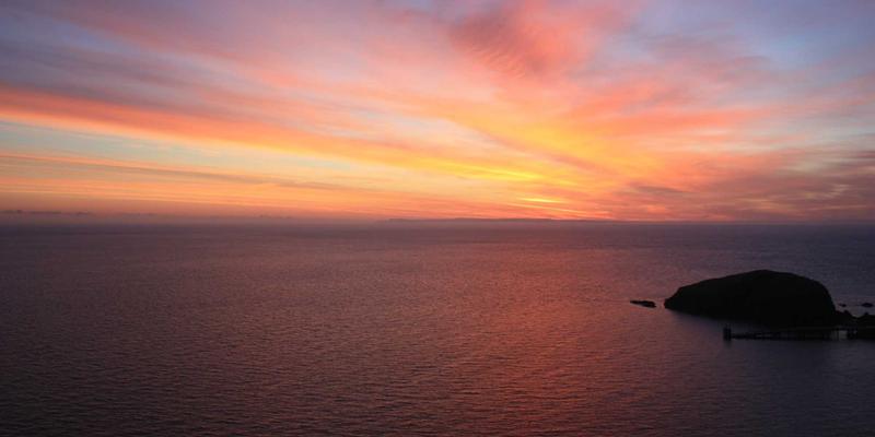 宠物养护全攻略：从科学选粮到健康管理，打造爱宠幸福生活