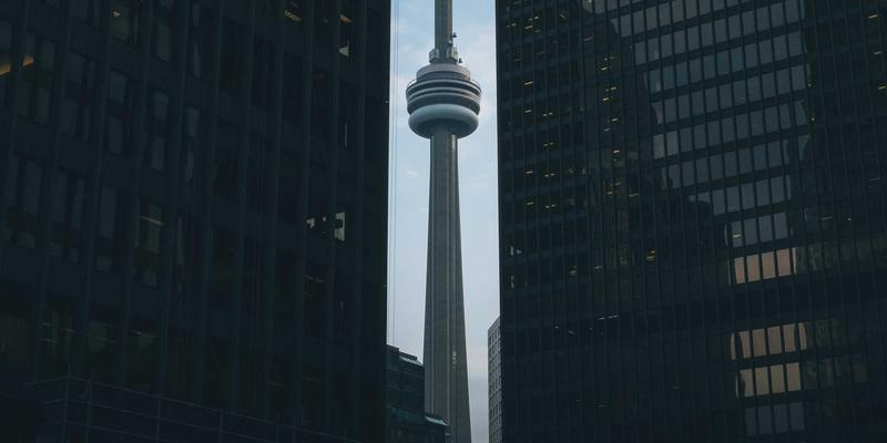 宠物养护进阶指南：从猫粮选择到玩具搭配的科学养育方案