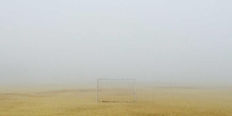 宠物减肥科学计划：从狗粮选择到饲养指南，助犬猫健康减重