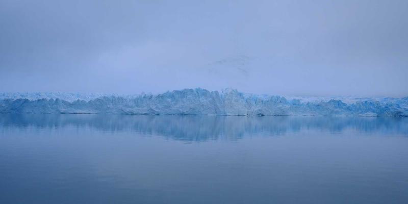 宠物分离焦虑症全解析：识别症状与渐进式脱敏训练指南
