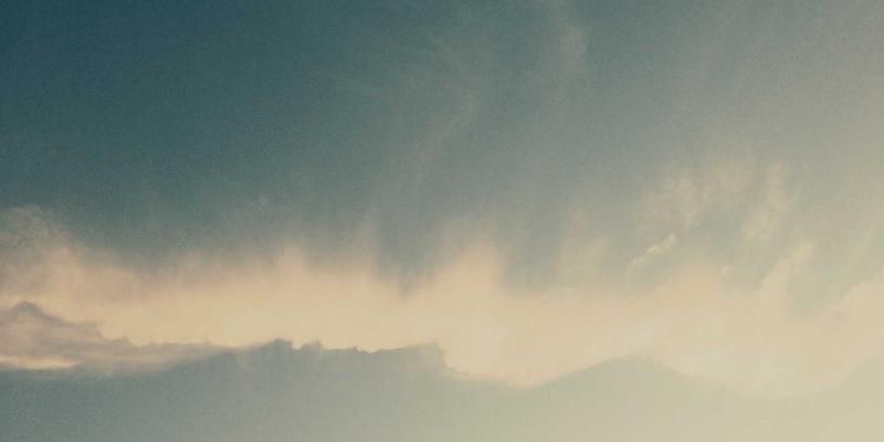 宠物分离焦虑症识别与干预：从行为表现到环境调整的完整方案 | 宠物健康知识