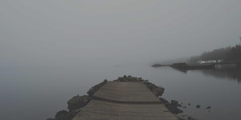 宠物口腔健康警报：牙结石与牙龈炎早期自查与家庭护理全指南