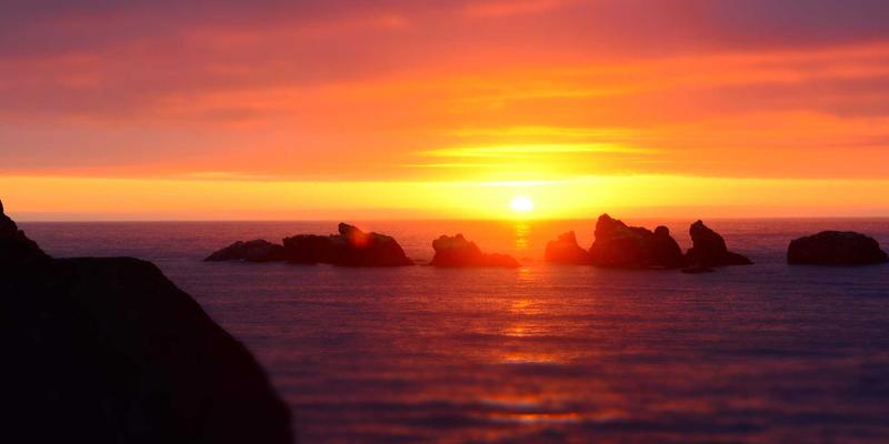 宠物口腔护理全攻略：从日常刷牙到专业洁牙的完整饲养指南