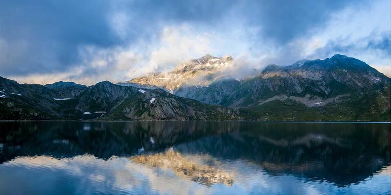 宠物口腔护理指南：从刷牙技巧到洁牙零食的全面养护方案