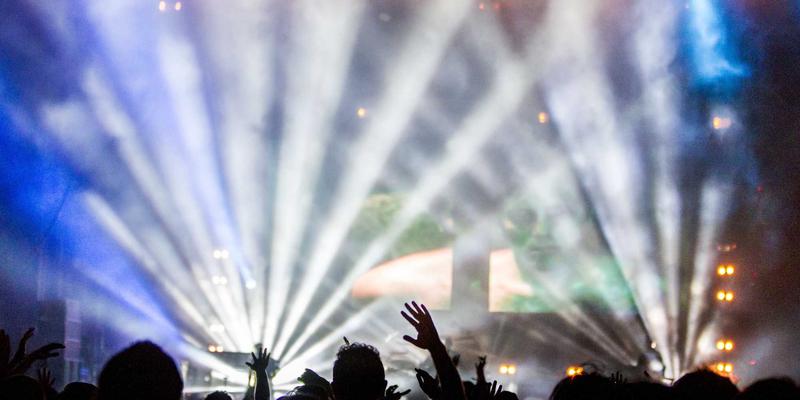 宠物旅行全准备指南：从航空托运、自驾安全到目的地适应性训练的专业养护知识