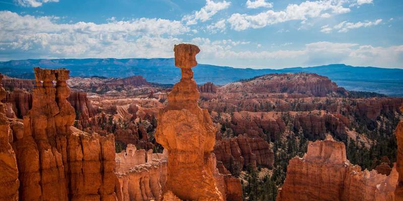 宠物玩具：不止于玩乐，更是宠物健康养护的三大关键