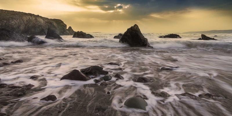 宠物行为训练入门指南：从宠物商城选对玩具，用饲养指南纠正不良习惯