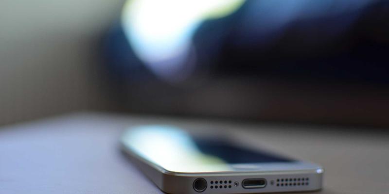 家庭宠物急救知识手册：从宠物商城选购到日常意外处理全指南