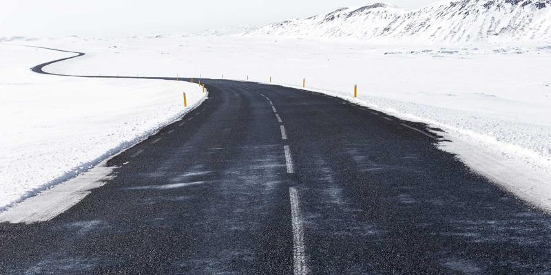 幼犬到家第一周饲养指南：环境适应、定点排便与基础信任建立全攻略