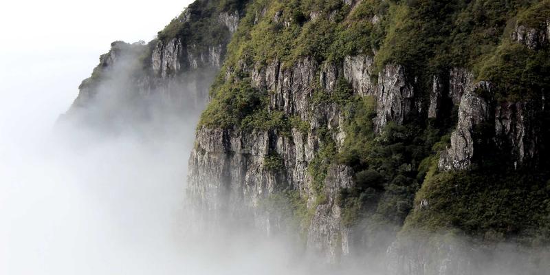 幼猫离乳期科学喂养指南：选对猫粮与玩具，助力爱宠健康成长 | 宠物商城必备攻略