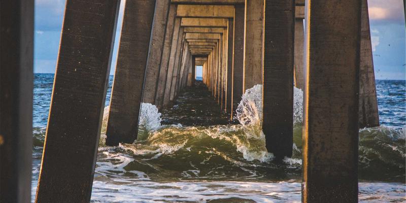 打造宠物友好家居：从安全防护到趣味动线设计的实操指南 | 宠物玩具与狗粮选购