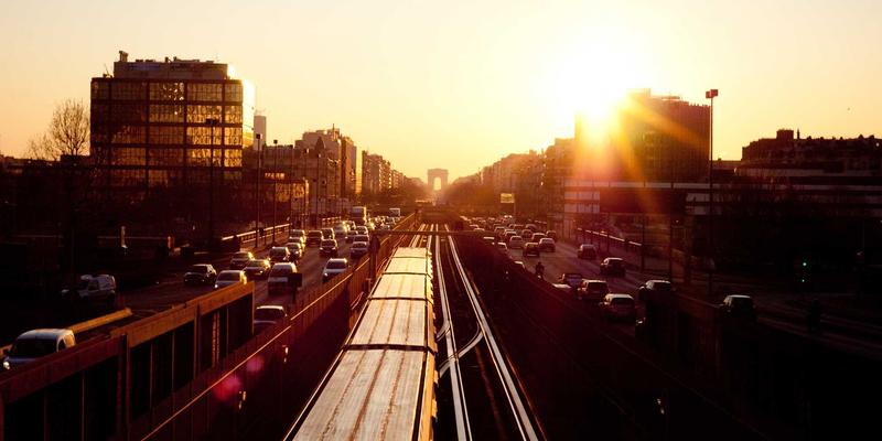 新手养宠全指南:从猫粮选择到科学饲养的完整攻略