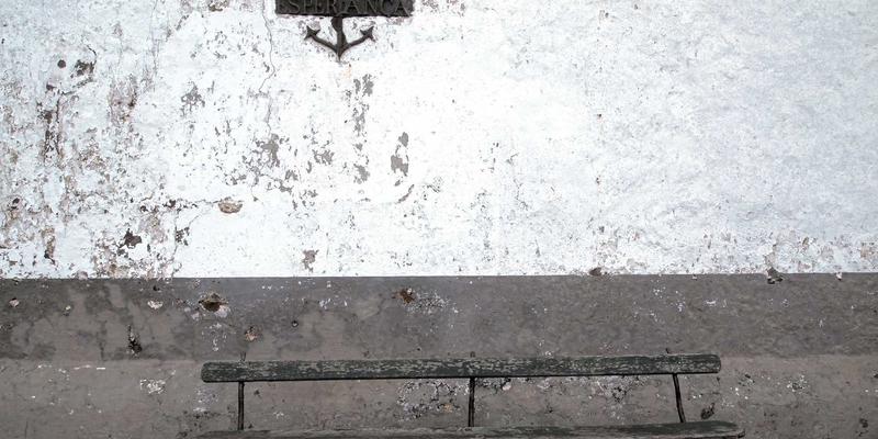 新手养猫必备指南：从宠物用品到健康管理的完整清单