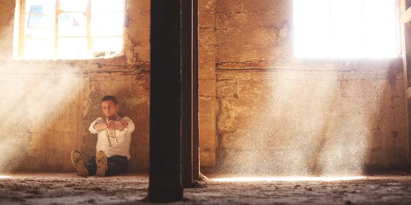 狗狗户外活动全攻略：从宠物玩具到专业防护，全面抵御蜱虫与寄生虫