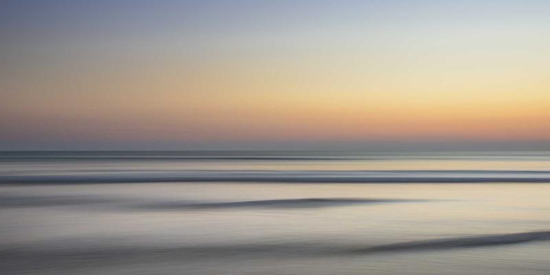 狗狗社会化训练黄金期：科学培养自信友善伴侣犬的三大关键