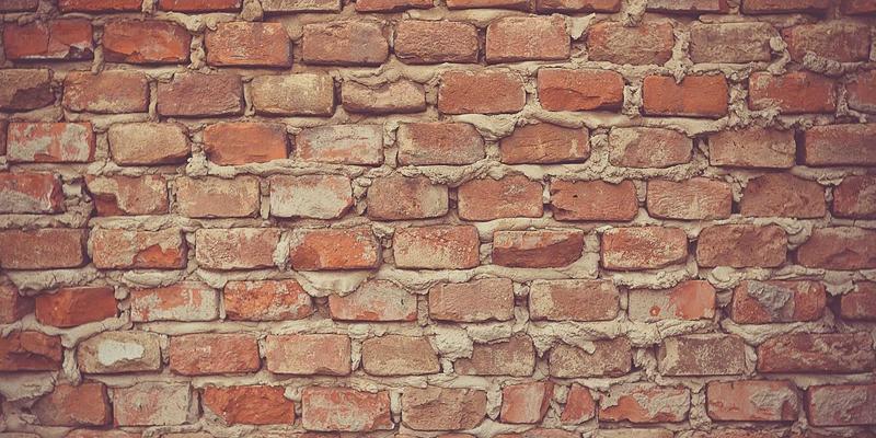 猫咪应激反应全攻略：从就医到换粮，科学预防与舒缓的实用指南