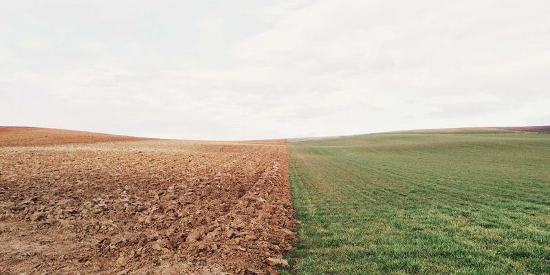 猫咪自发性膀胱炎全攻略：从宠物健康到环境管理，科学舒缓爱宠情绪