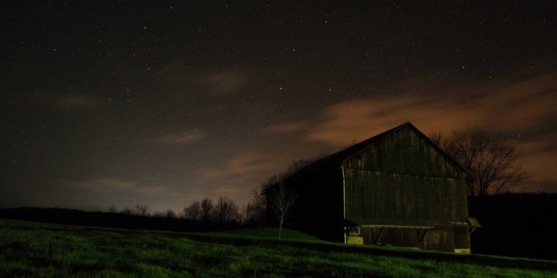 猫粮选购与科学饲养全指南 | 宠物商城一站式解决方案
