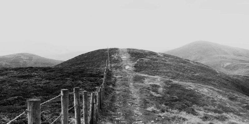 科学宠物养护指南：从猫粮选择到日常饲养的完整知识体系