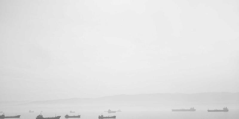 科学选择猫粮与宠物用品：一站式宠物商城养护指南